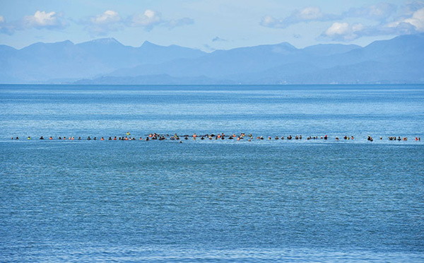 Le niveau de la mer en Nouvelle-Zélande augmente plus vite que prévu, selon une étude