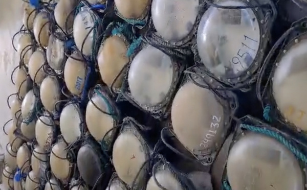 200 DCP dérivants ramassés à Rangiroa