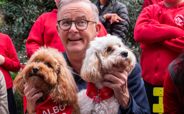 Australie : les travaillistes d'Anthony Albanese chassent Scott Morrison du pouvoir