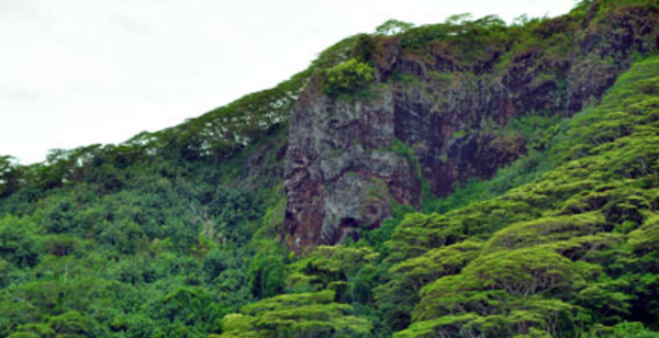 Embourbé mais pas tombé au pied d’une falaise !
