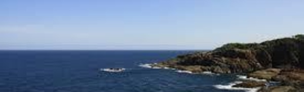 Une femme de 60 ans emportée par un requin dans le sud de l'Australie