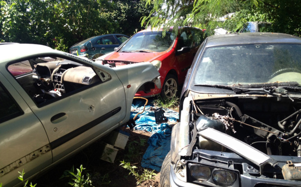 Opération collecte des carcasses à Arue à partir du 7 avril