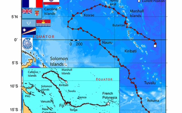 La tortue Ariti de retour dans l'hémisphère sud
