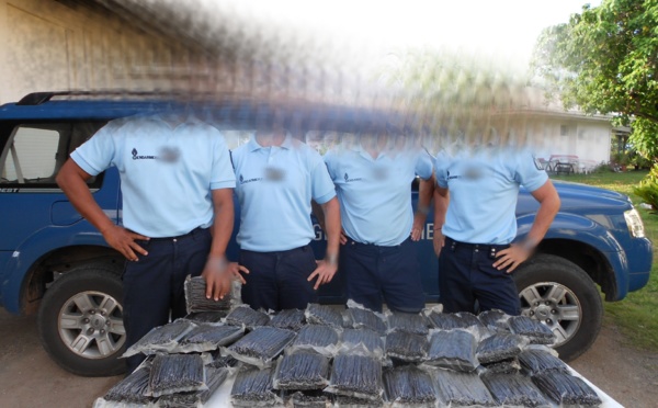 Tahaa: les gendarmes coffrent les voleurs de vanille