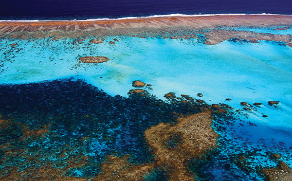 Australie: recours contre un projet gazier au nom de la Grande barrière de corail