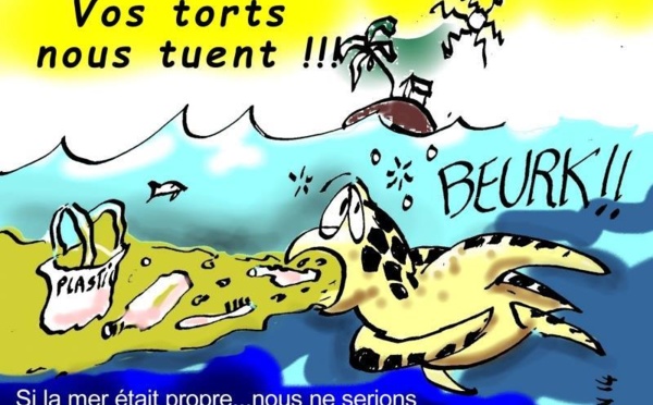 Ecologie : La tortue au cœur des débats