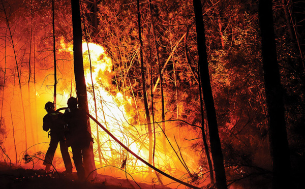 Près de 700 pompiers luttent contre un grand incendie dans le Gard, "toujours actif"