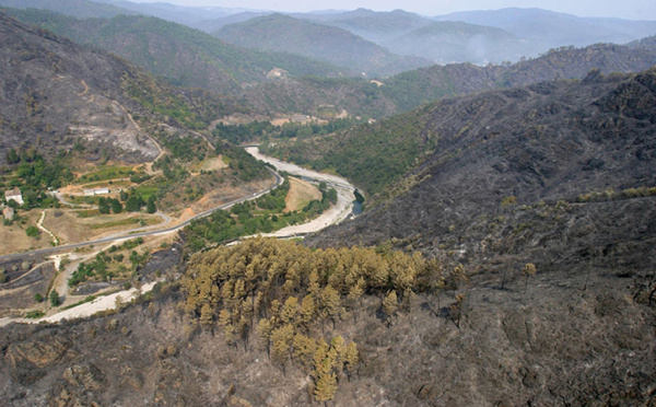 L'incendie des Cévennes maîtrisé, maintien d'un dispositif de surveillance allégé