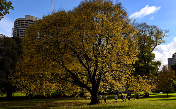 Australie: la faune et la flore plus que jamais menacées