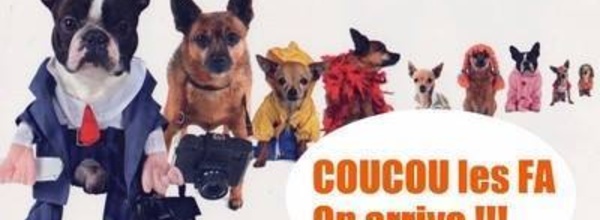 Eimeo Animara recherche famille d'acceuil