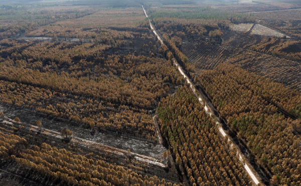Après 12 jours de lutte, les deux incendies "hors norme" de Gironde sont "fixés"