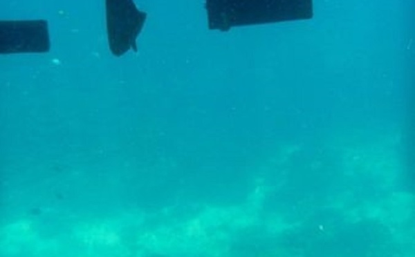 Bora Bora : un plongeur gravement déchiqueté par l'hélice d'un bateau