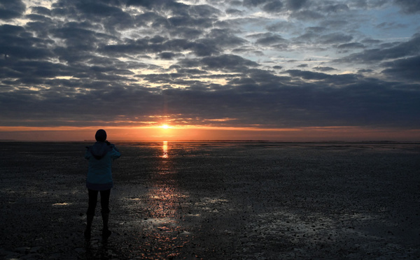 Session de rattrapage à l'ONU pour tenter de protéger la haute mer