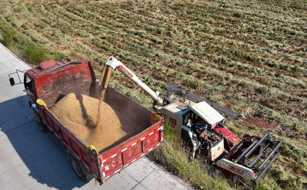 Les prix des céréales sont redescendus des sommets, après six mois de guerre en Ukraine