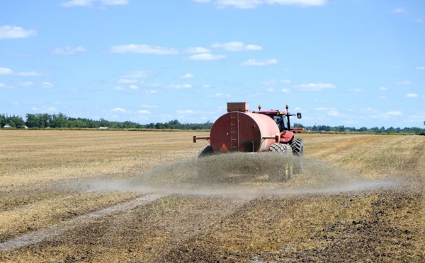 Derrière la flambée du gaz en Europe, le spectre d'une pénurie mondiale d'engrais