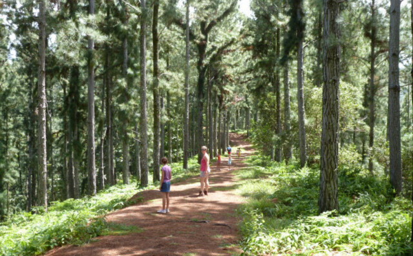 Tourisme vert : une convention signée avec le syndicat des guides de randonnée