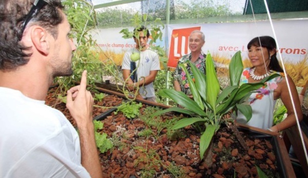 Inauguration d’un potager aquaponique à l’école Fariimata