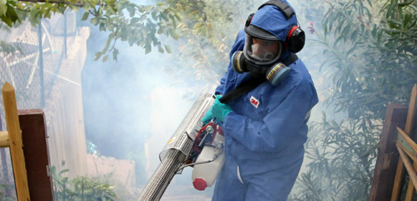 Guadeloupe: Renforts de sapeurs-pompiers pour lutter contre le chikungunya