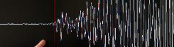 Petit tsunami dans le nord-est du Japon après un fort séisme près de Fukushima