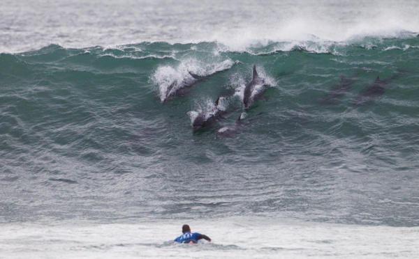 Surf International : Michel Bourez est 5ème au classement mondial après J Bay, Jérémy Florès suspendu pour Teahupo’o !