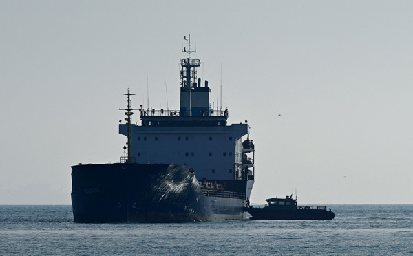 Ukraine: les cargos céréaliers cloués aux ports après les exigences de Moscou