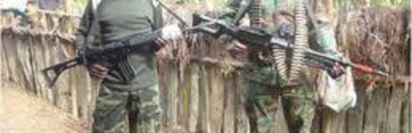 Cinq rebelles séparatistes tués en Papouasie