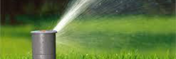 La chasse aux pelouses est ouverte en Californie