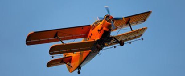 Un chalutier néo-zélandais prend dans ses filets un avion avec un corps à l'intérieur