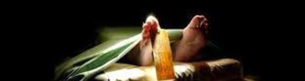 Indonésie: le corps d'une Américaine découvert dans une valise à Bali