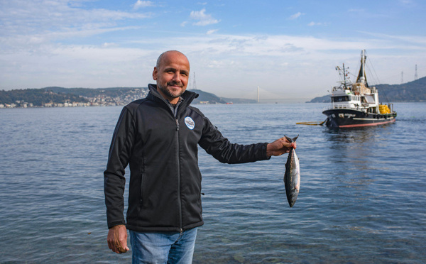 Surpêche, pollution, circulation: le Bosphore perd ses poissons