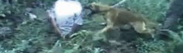 Violences policières : plusieurs États océaniens de nouveau sur la sellette