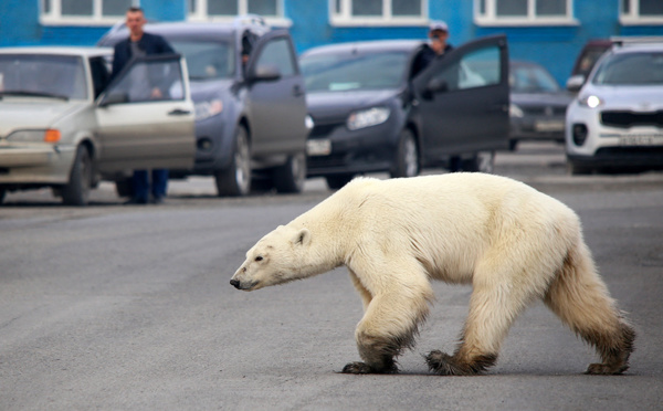 Coup d'envoi de la COP15, le sommet de la décennie pour sauver la nature