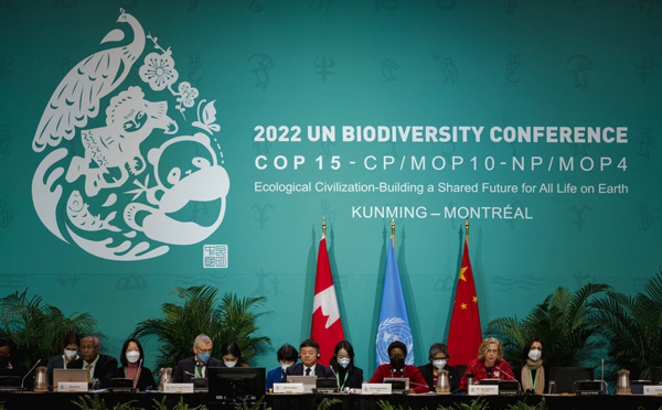 Associations et ONG donnent de la voix pour la COP15 sur la biodiversité