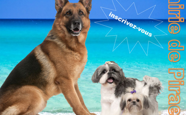 Concours du plus beau chien de Polynésie le 4 octobre