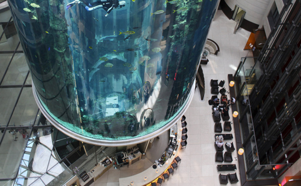 Un aquarium géant éclate dans un hôtel au coeur de Berlin