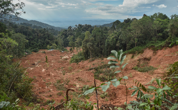 Au moins 19 morts et 14 disparus dans un glissement de terrain en Malaisie