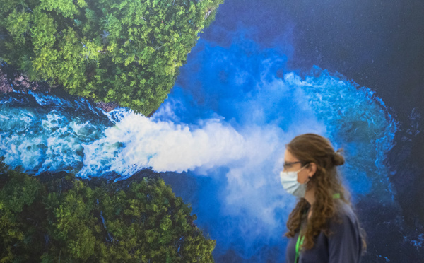 Le monde adopte un accord historique pour tenter de sauver la nature