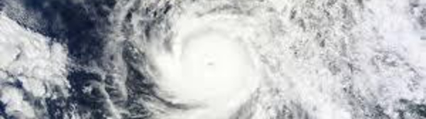Mexique: la péninsule de Basse Californie en alerte devant l'ouragan Odile