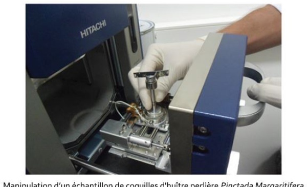 Un microscope électronique à l’Université de Polynésie française