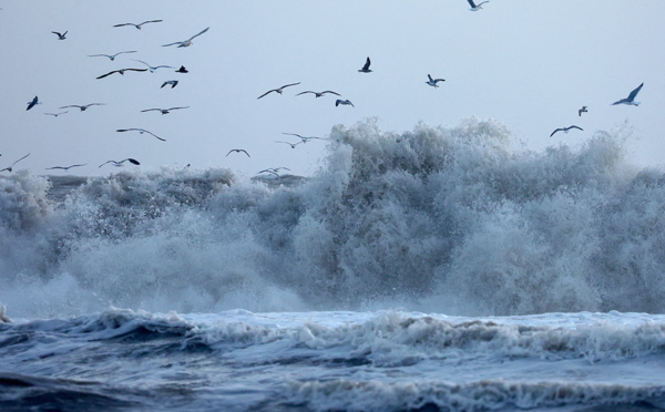 La Californie menacée par un cyclone après des tempêtes historiques