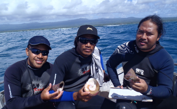 Le troca, ressource côtière d’avenir au Samoa