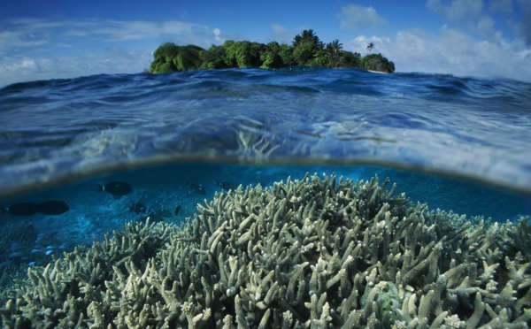 Les Etats-Unis créent le plus vaste sanctuaire marin dans le Pacifique