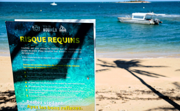 Une femme grièvement blessée par un requin en Nouvelle-Calédonie