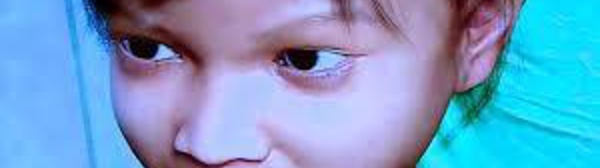 Un pédophile australien condamné grâce à Sweetie, fillette philippine virtuelle