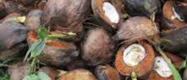 "La transition énergétique est possible en Polynésie"