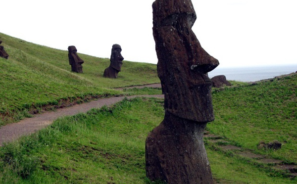 Des liens génétiques entre les Rapa Nui et les Amérindiens