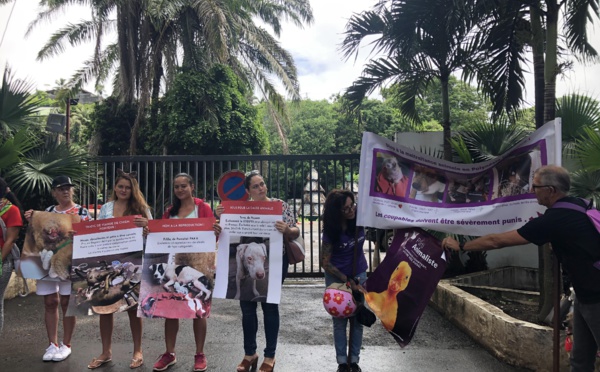 Le parti animaliste veut interpeller