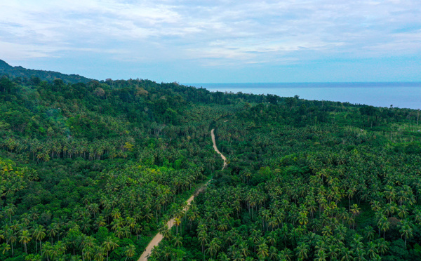 Des Indonésiens se battent pour leurs terres face à la ruée vers le nickel