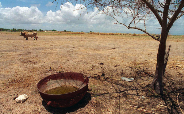 Guadeloupe: sècheresse et séquelles de la tempête Fiona causent une pénurie d'eau