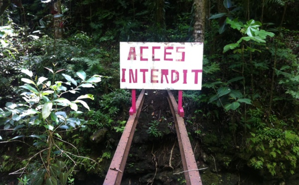 Bientôt une passerelle "api", vallée de Fautaua